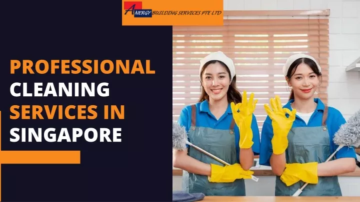 professional cleaning services in singapore