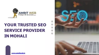 Your Trusted SEO Service Provider in Mohali (1) (1)