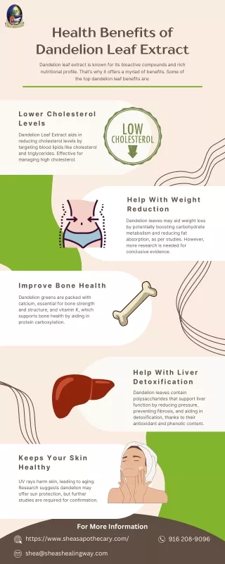 health benefits of dandelion leaf extract