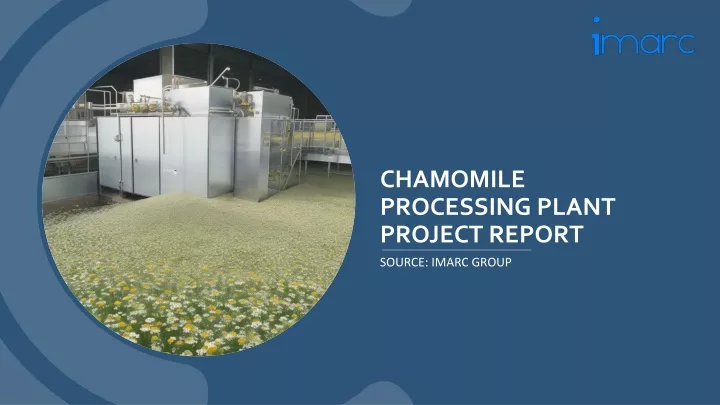 chamomile processing plant project report