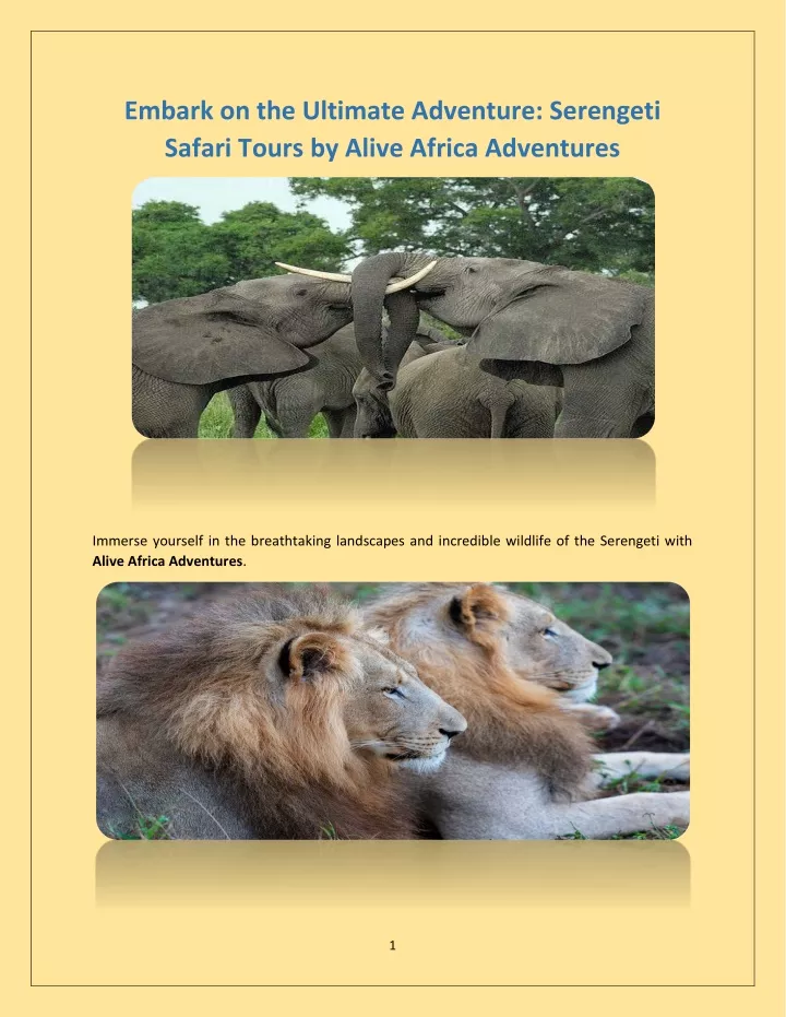 embark on the ultimate adventure serengeti safari