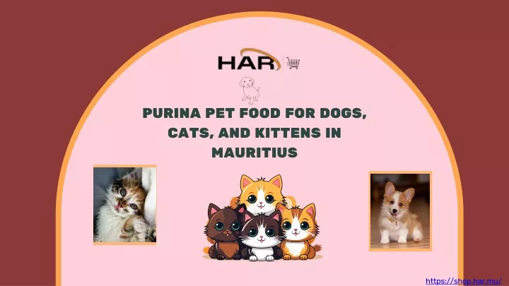 purina pet food for dogs cats and kittens