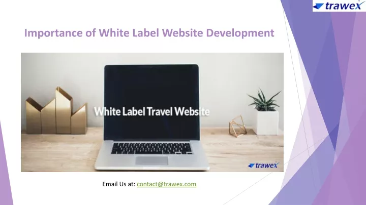importance of white label website development