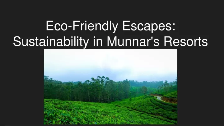 eco friendly escapes sustainability in munnar s resorts