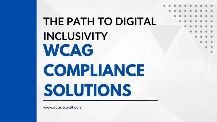 the path to digital inclusivity wcag compliance