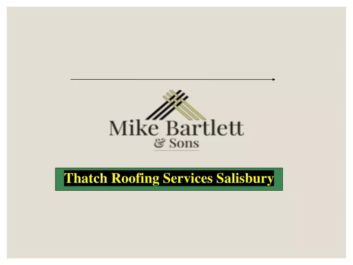 thatch roofing services salisbury