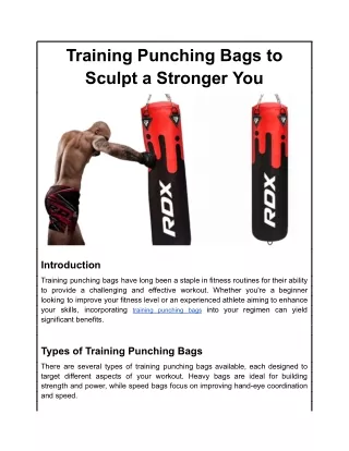 Training Punching Bags to Sculpt a Stronger You