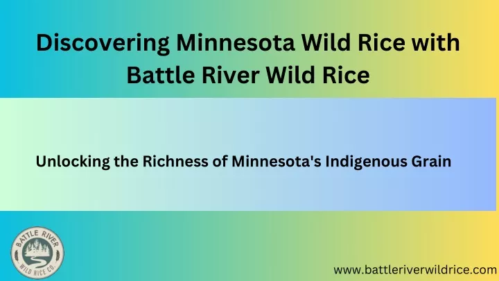 discovering minnesota wild rice with battle river