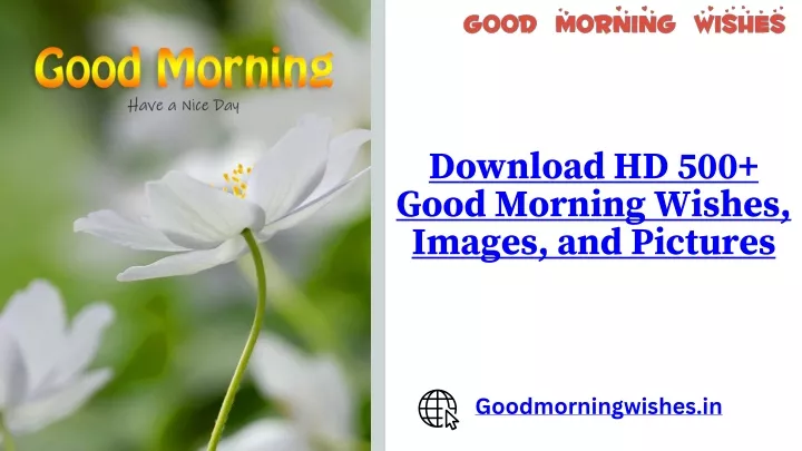 download hd 500 good morning wishes images