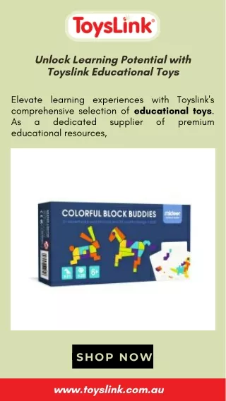Toyslink Educational Toys