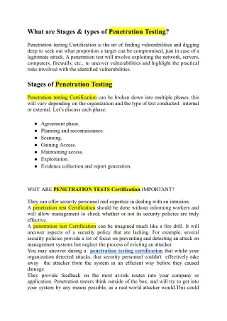 what are stages types of penetration testing