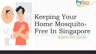 Keeping Your Home Mosquito-Free In Singapore