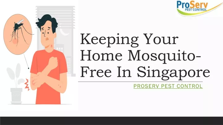 keeping your home mosquito free in singapore