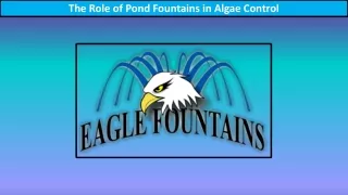 The Role of Pond Fountains in Algae Control