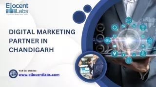 Ellocent Labs - Digital Marketing Services in Chandigarh