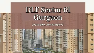 DLF Sector 61 Gurgaon | Modern Residential Property