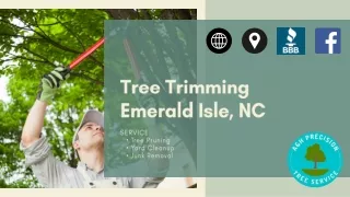 Tree Trimming Emerald Isle, NC