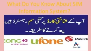 What Do You Know About SIM Information System?