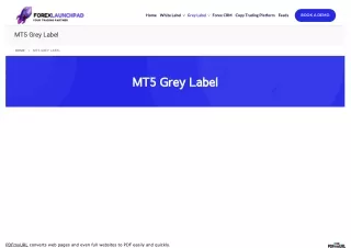 MT5 Grey Label