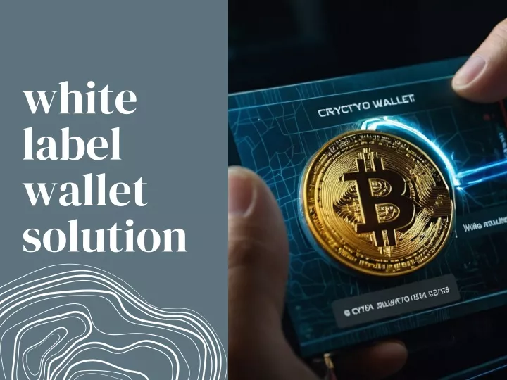white label wallet solution