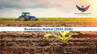 blueberries market 2024 2030