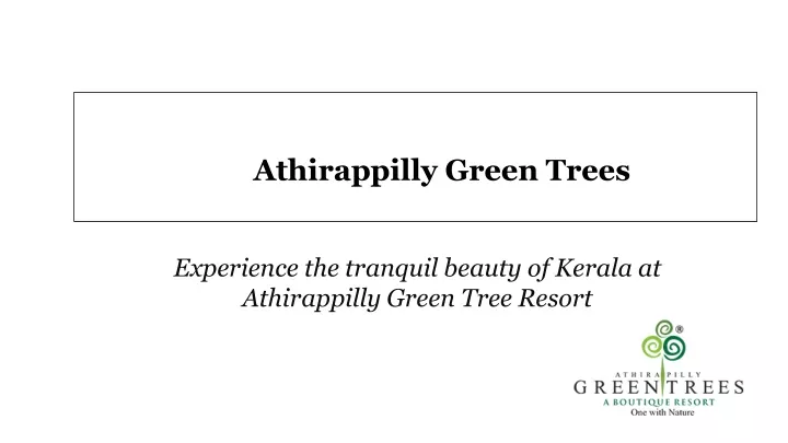 athirappilly green trees