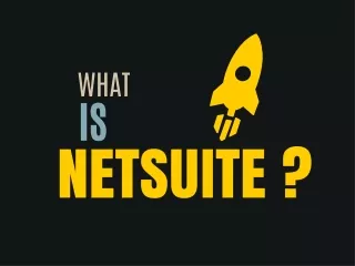 what is netsuite
