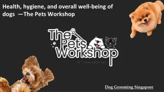 Health, hygiene, and overall well-being of dogs  —The Pets Workshop