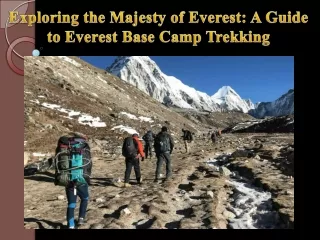 Exploring the Majesty of Everest A Guide to Everest Base Camp Trekking