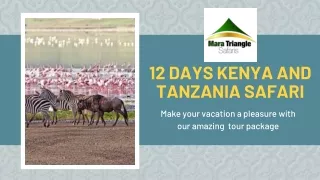 12 Days Kenya and Tanzania Safari