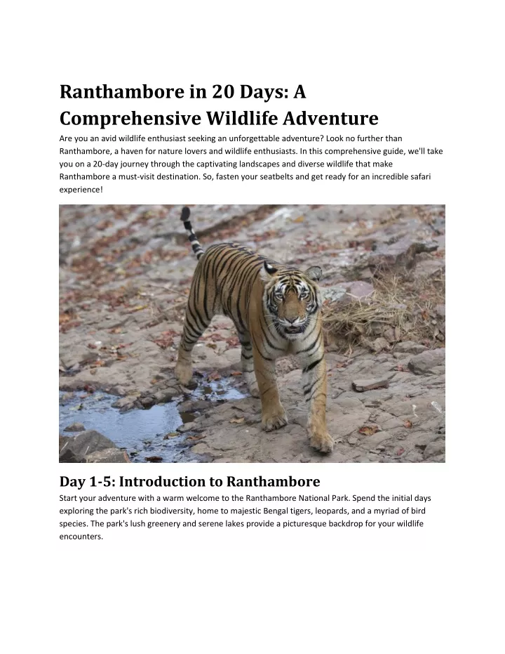 ranthambore in 20 days a comprehensive wildlife