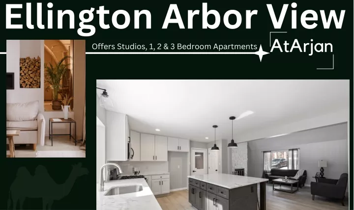 ellington arbor view offers studios 1 2 3 bedroom
