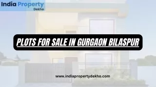Plots for Sale in Gurgaon Bilaspur