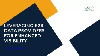 Leveraging B2B Data Providers for Enhanced Visibility