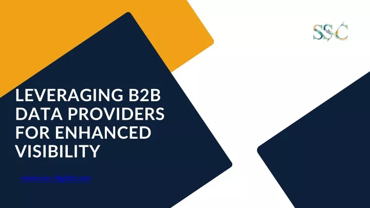 PPT - Leveraging B2B Data Providers For Enhanced Visibility PowerPoint ...