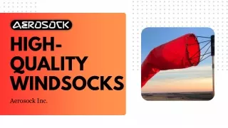 Aerosock Inc.: Elevating Precision with Windsock Innovation