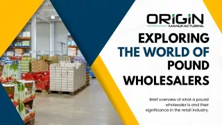 Exploring the World of Pound Wholesalers