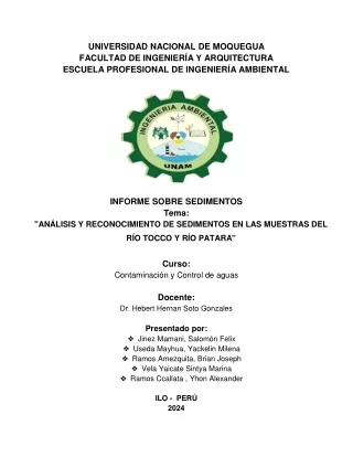 INFORME DE SEDIMENTOS DE RIO PATARA Y RIO TOCCO GRUPO 4 FINAL