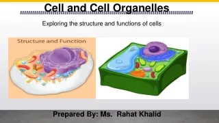 biology (8th science) cell and cell organelles