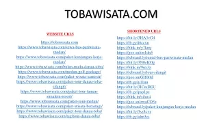 Website URL Tobawisata 2023