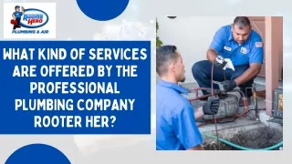 What kind of services are offered by the professional plumbing company Rooter Hero