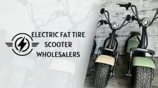 Fat Tire Wholesalers PPT