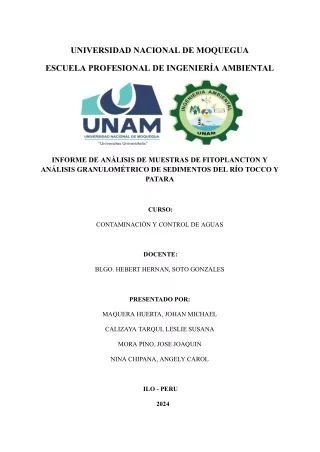 INFORME DE ANÁLISIS DE MUESTRAS DE FITOPLANCTON Y ANÁLISIS GRANULOMÉTRICO DE SEDIMENTOS DEL RIO TOCCO Y PATARA