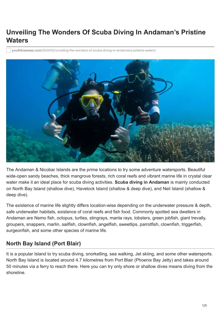 unveiling the wonders of scuba diving in andaman