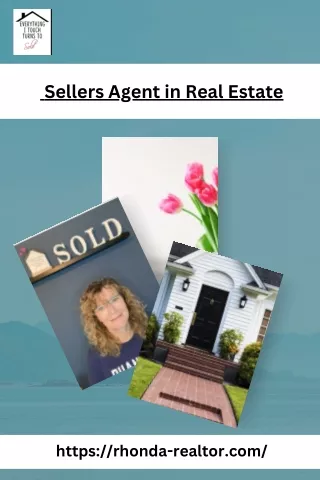 Expert Sellers Agent in Real Estate