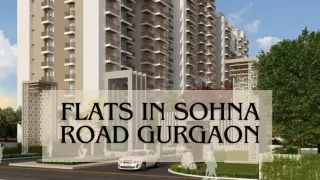 Flats In Sohna Road Gurgaon | Star Estate