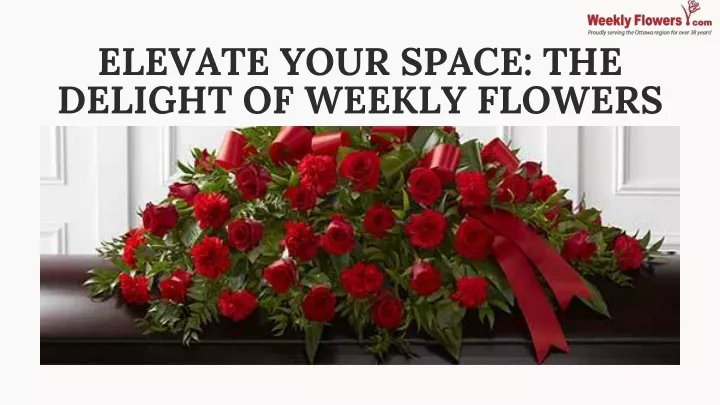 elevate your space the delight of weekly flowers