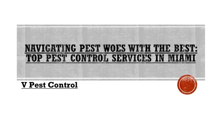navigating pest woes with the best top pest control services in miami