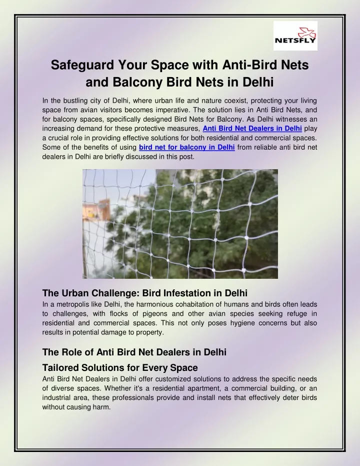 safeguard your space with anti bird nets