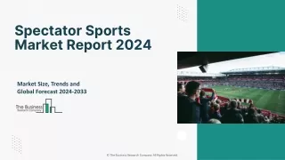 spectator sports market report 2024